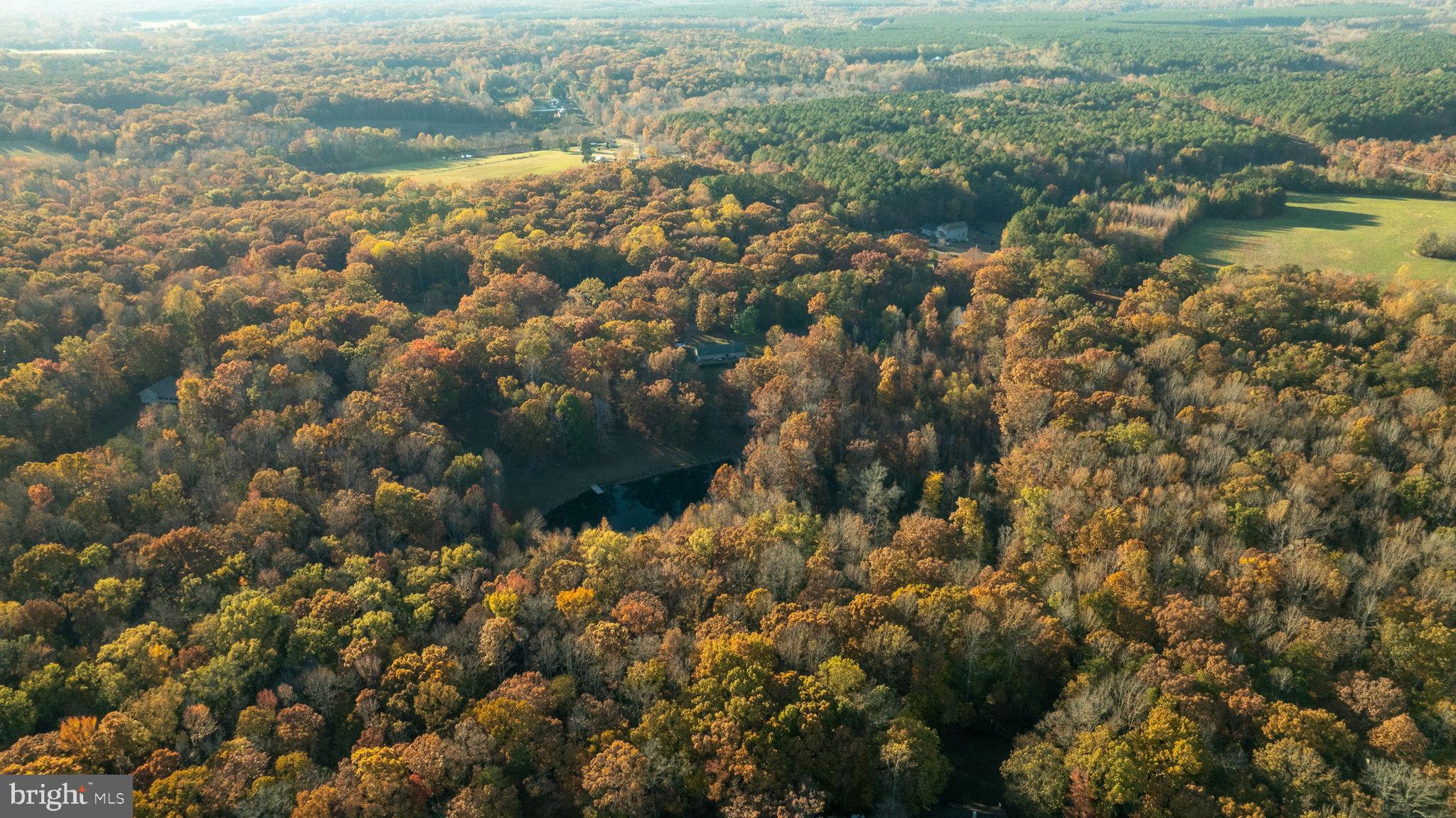 TODDS TAVERN ESTATES - Residential