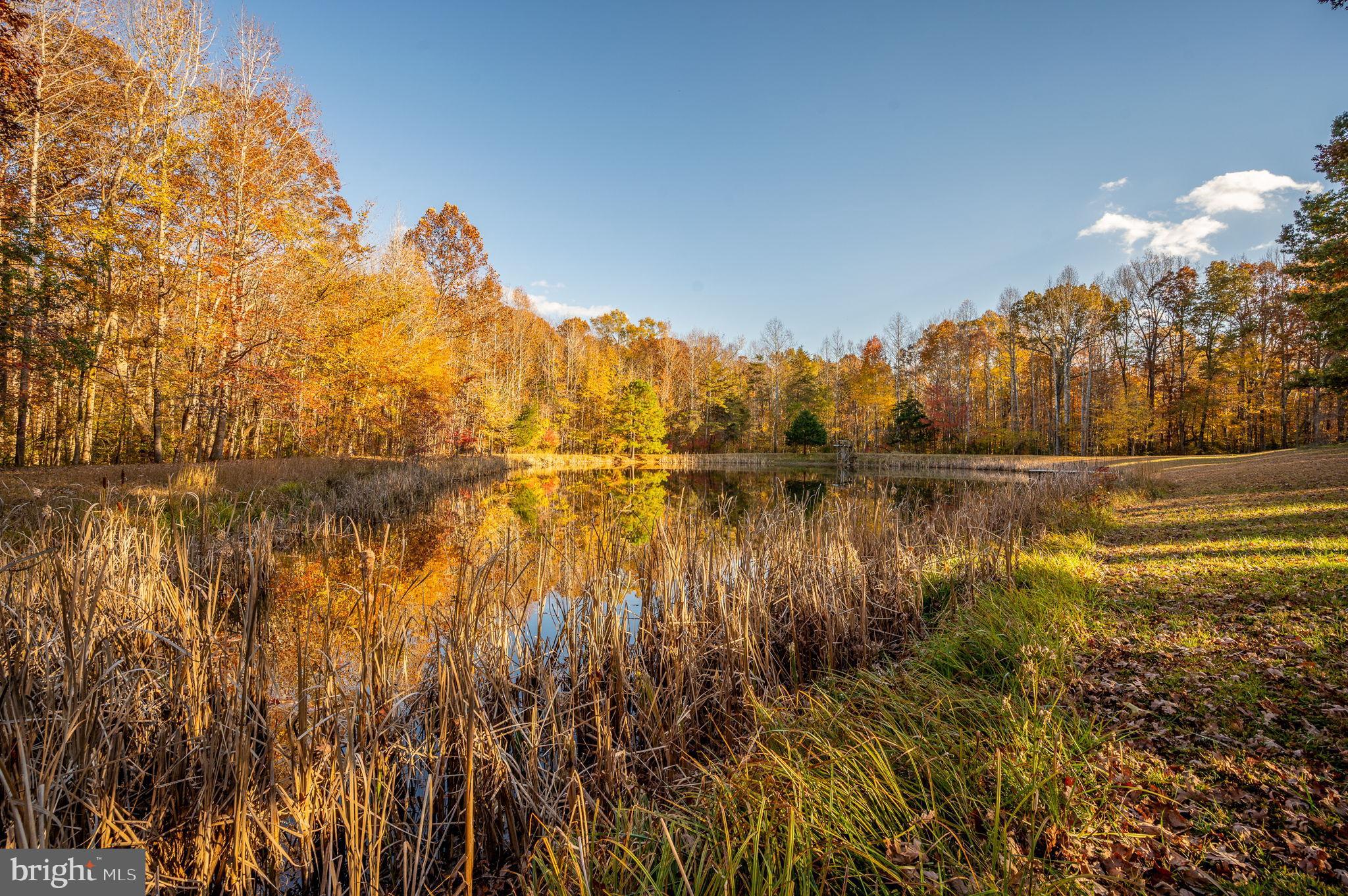 TODDS TAVERN ESTATES - Residential