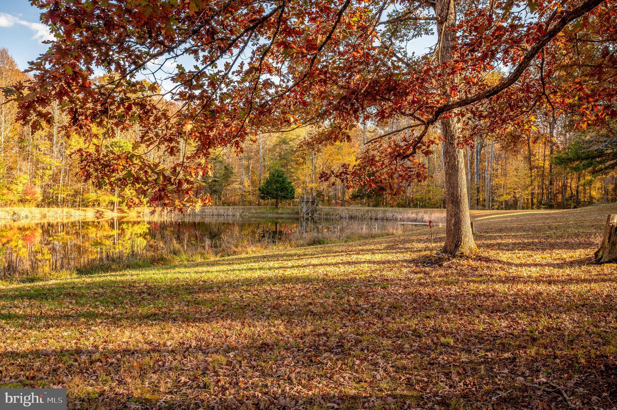 TODDS TAVERN ESTATES - Residential