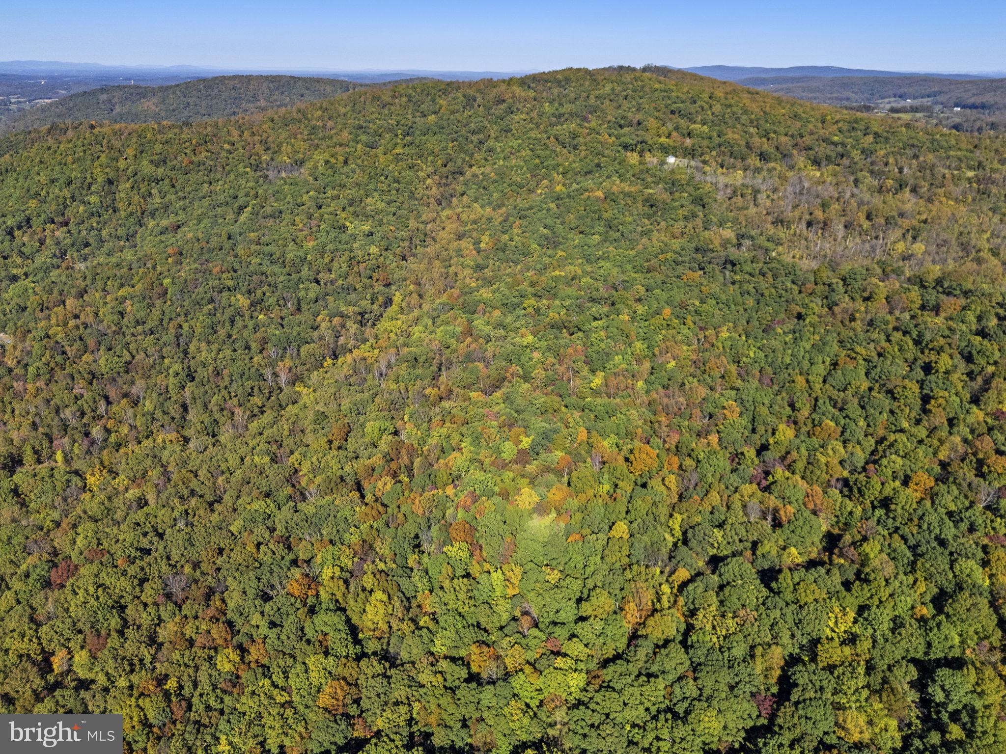 Lot 1 SYLVAN LANE