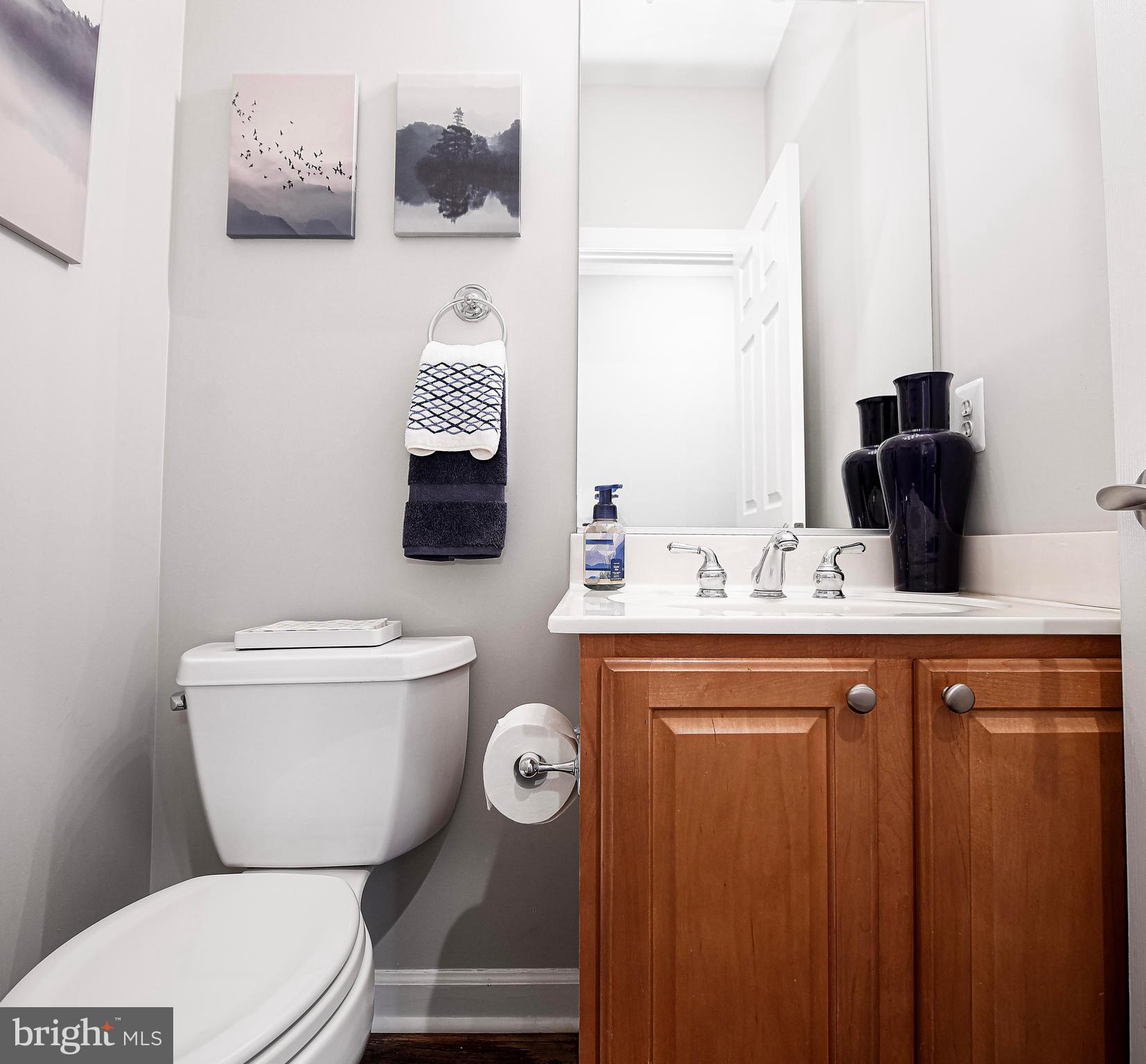 WILLOW CHASE - Residential