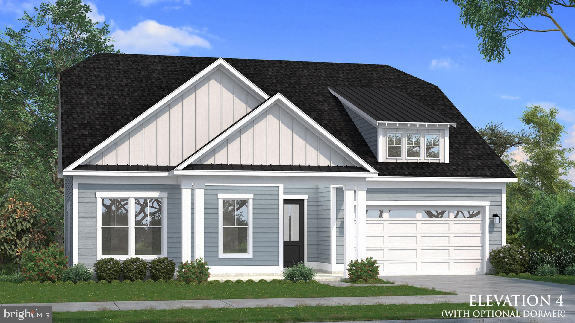 TBB HORNBEAM DRIVE ANTIGUA