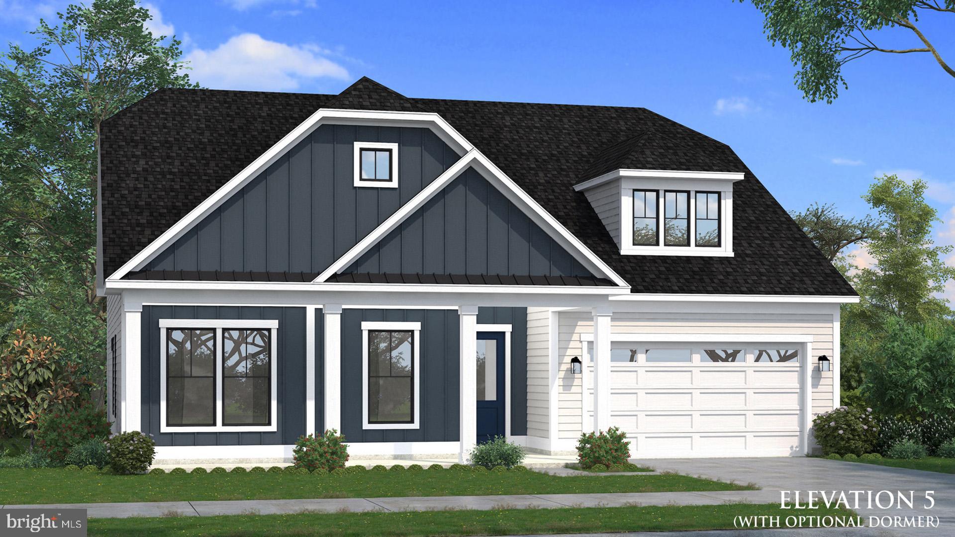 TBB HORNBEAM DRIVE ANTIGUA