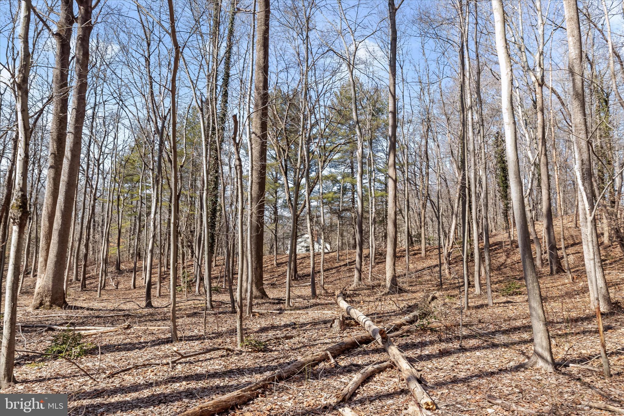 MERRYWOOD MANOR - Land