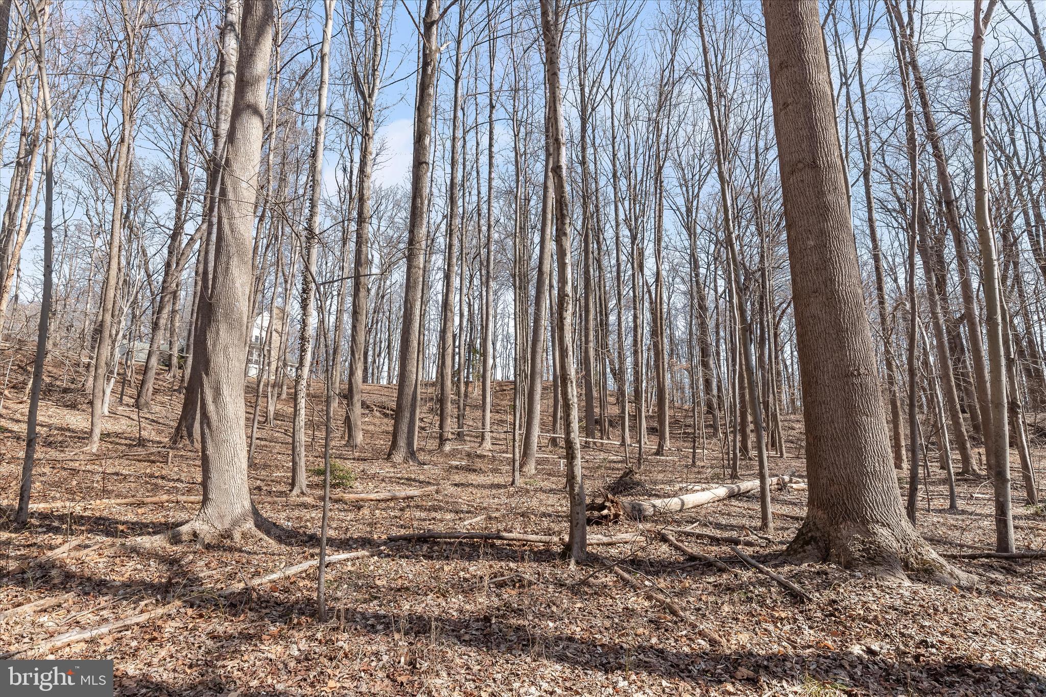 3891 GREENMEADOW LANE