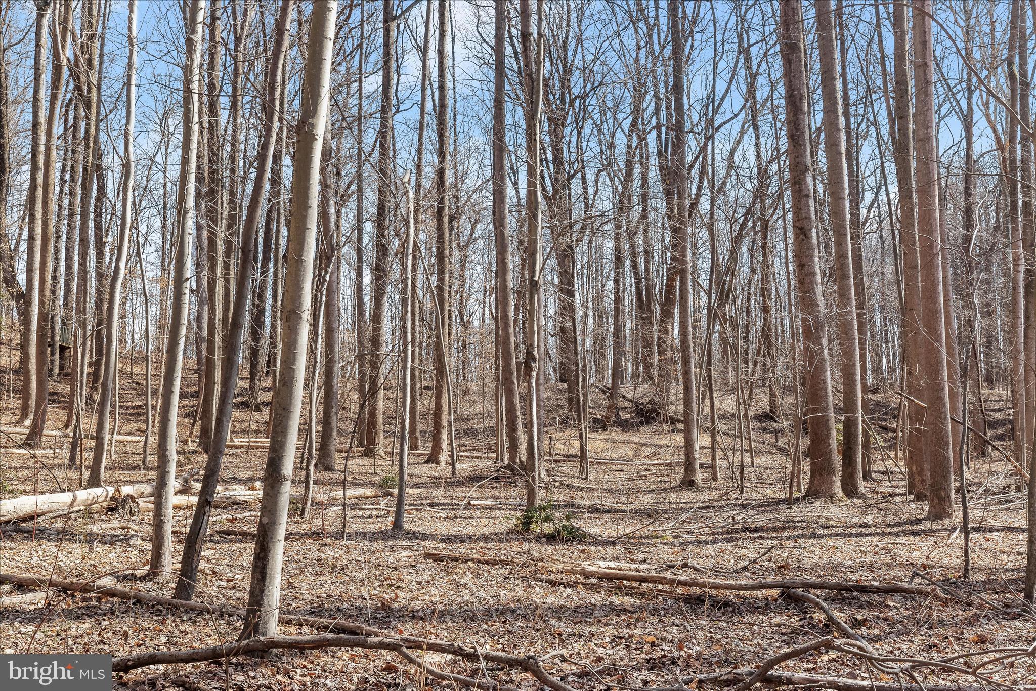 3891 GREENMEADOW LANE