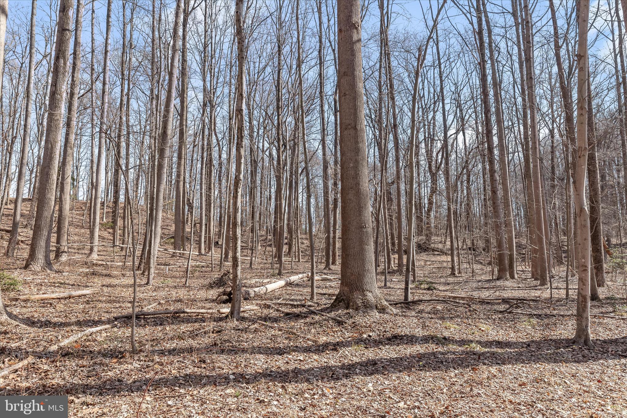 3891 GREENMEADOW LANE