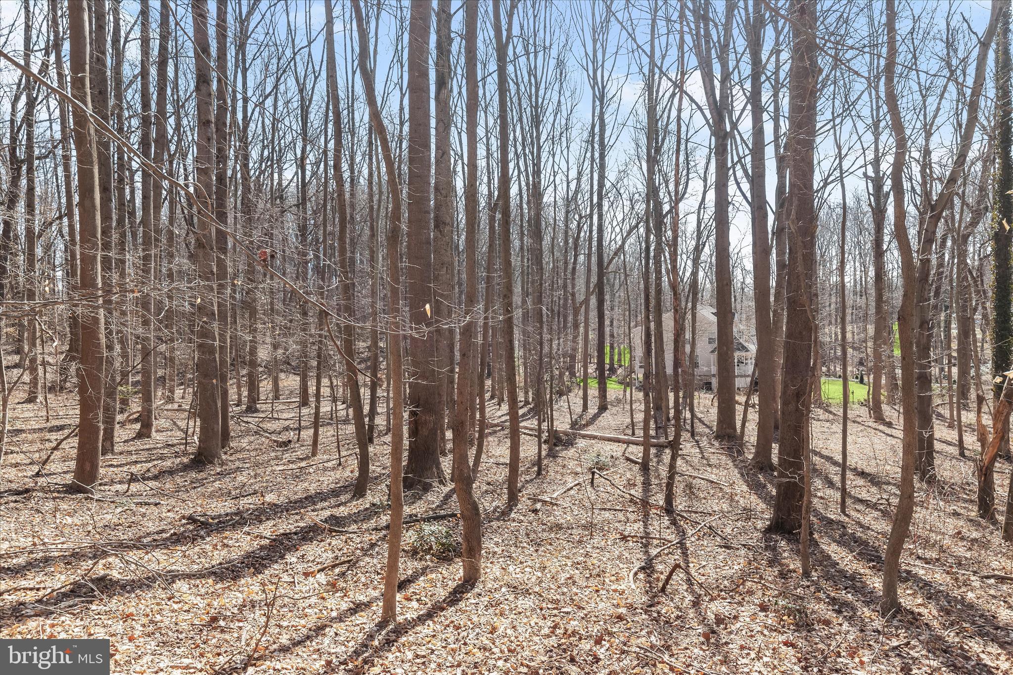 MERRYWOOD MANOR - Land