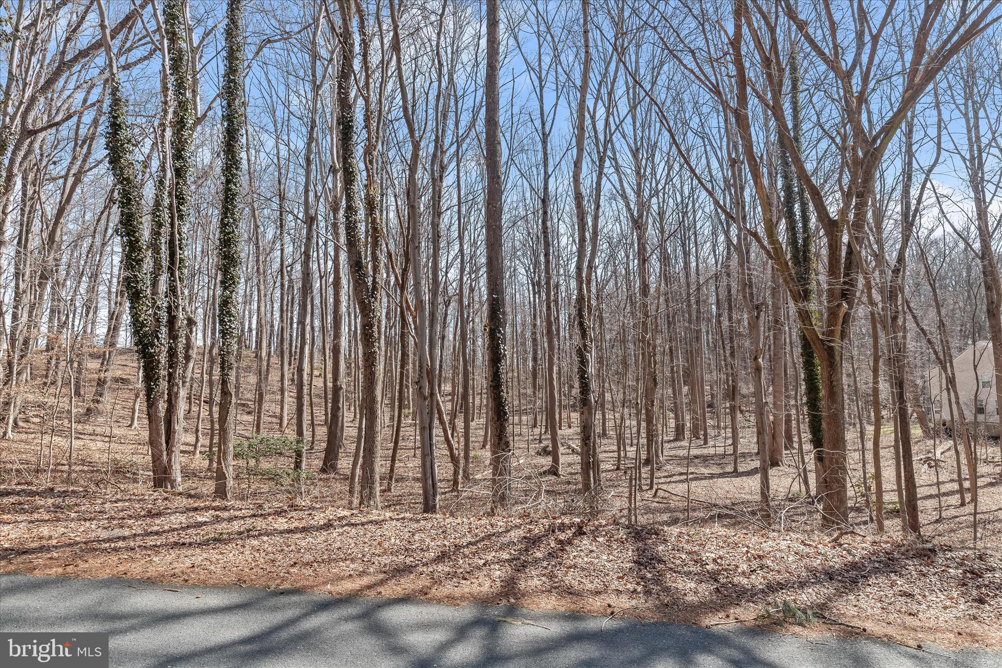3891 GREENMEADOW LANE