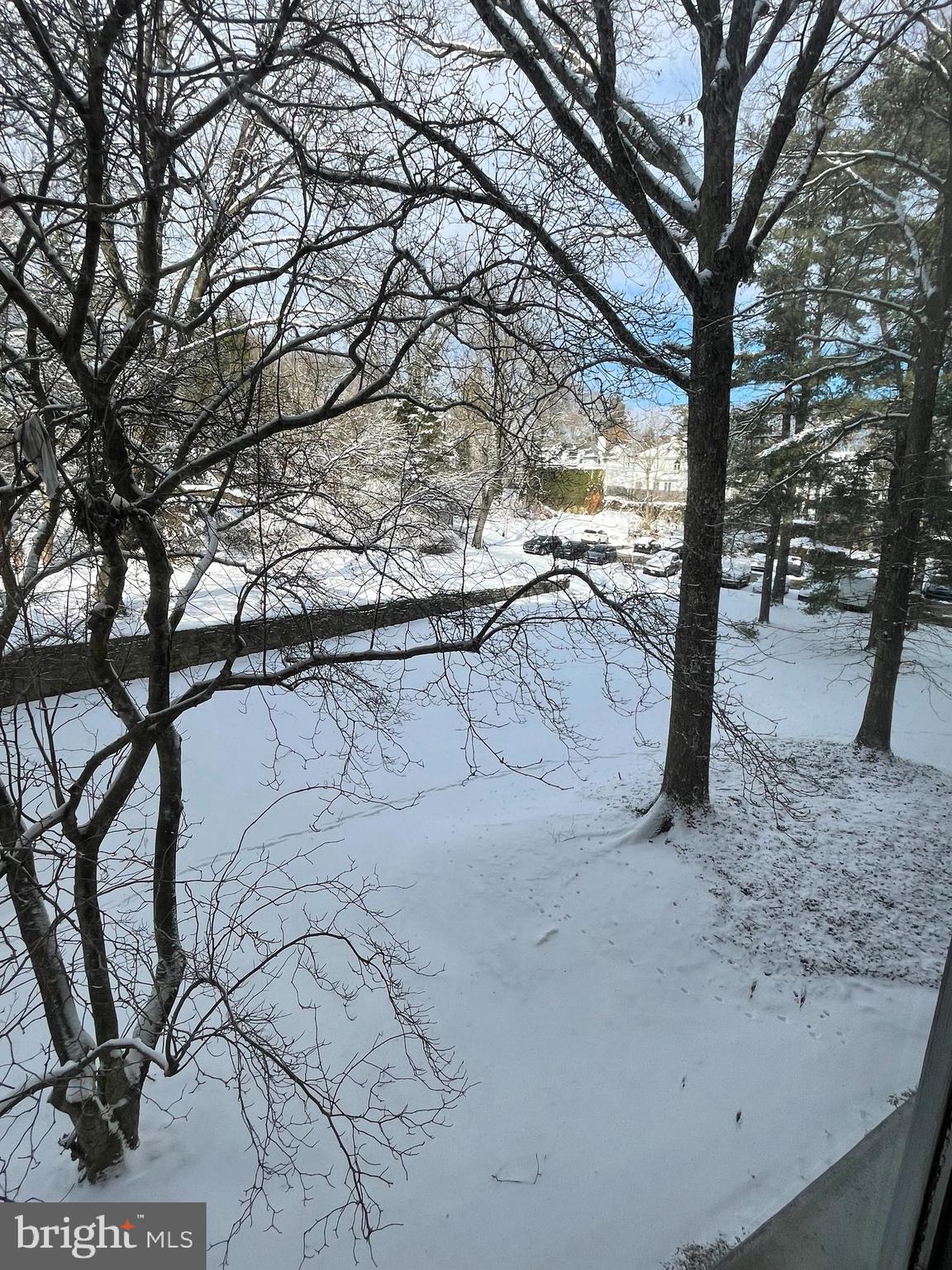 ELKINS PARK HOUSE - Residential