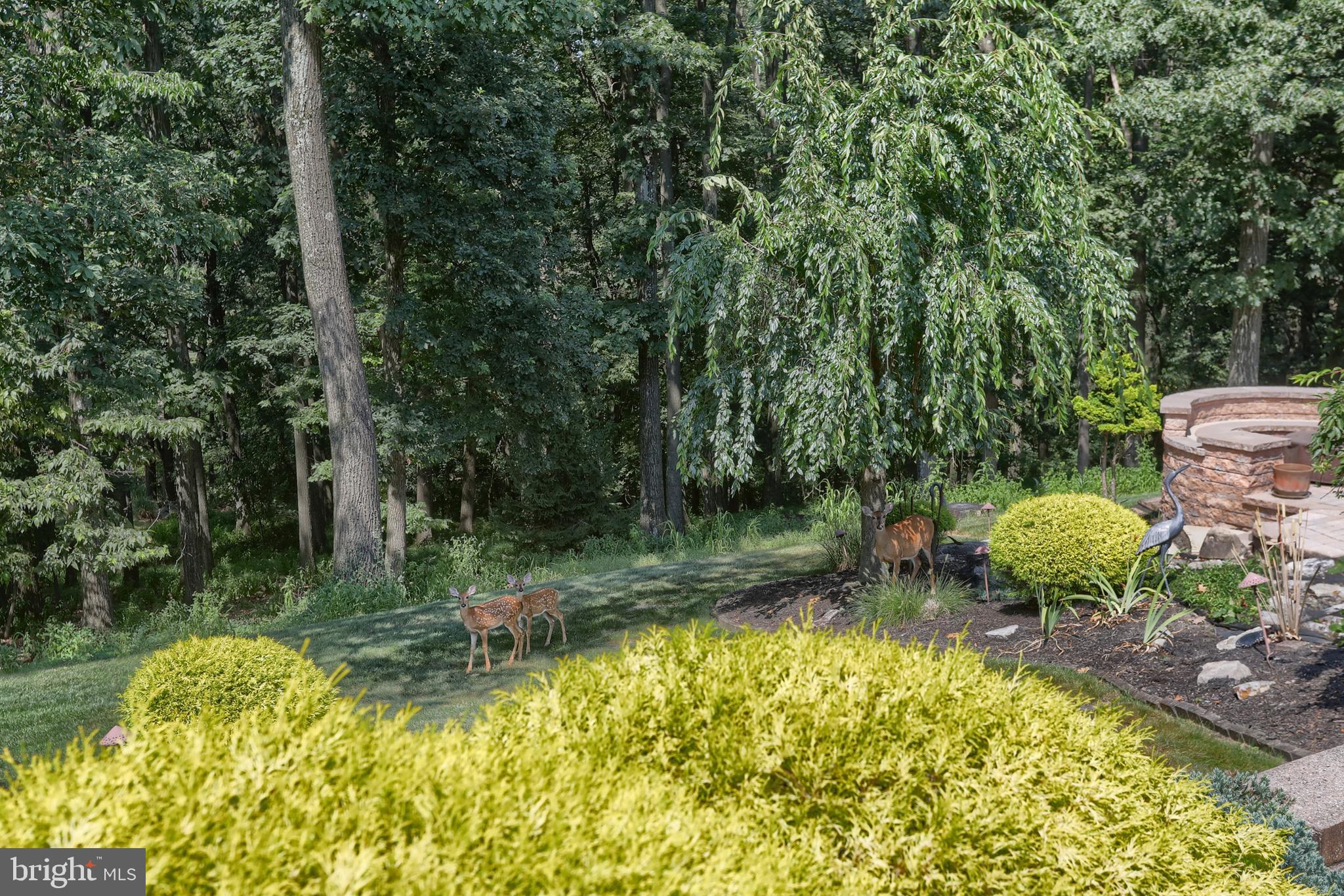 DERRY WOODS - Residential