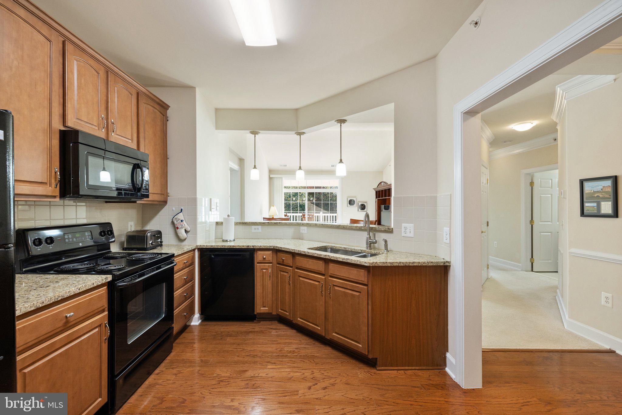 REGENCY AT DOMINION VALLEY - Residential