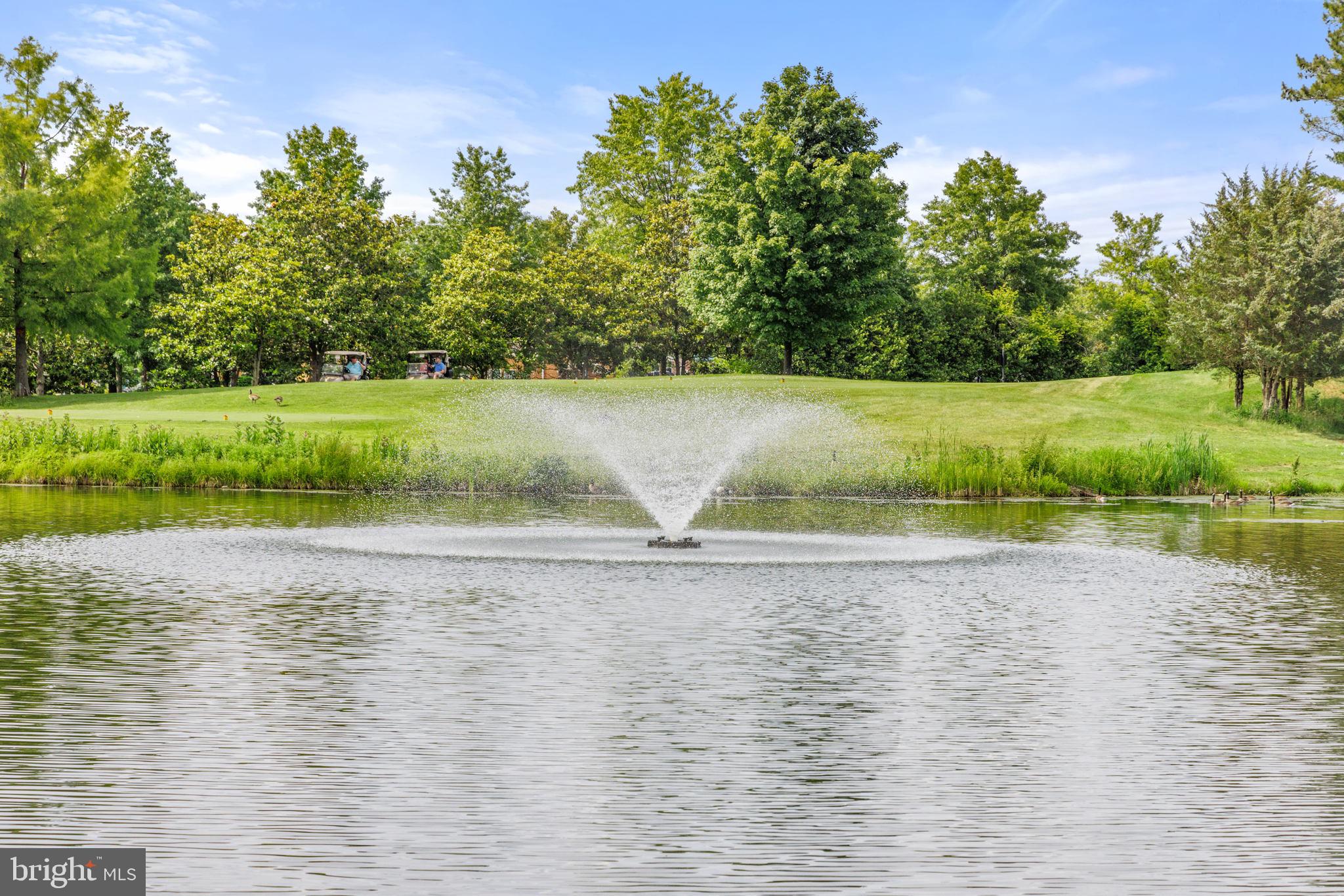 REGENCY AT DOMINION VALLEY - Residential