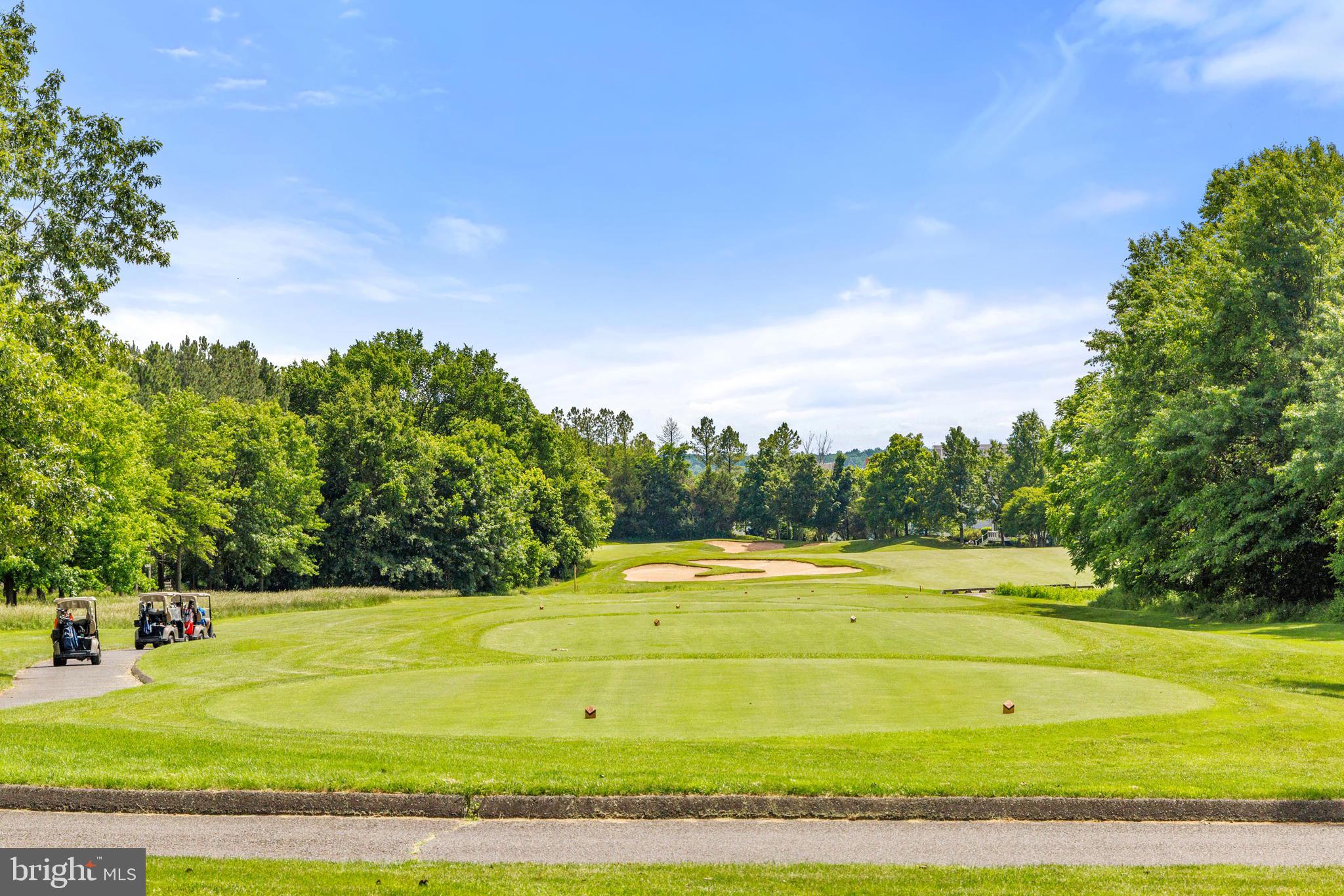 REGENCY AT DOMINION VALLEY - Residential