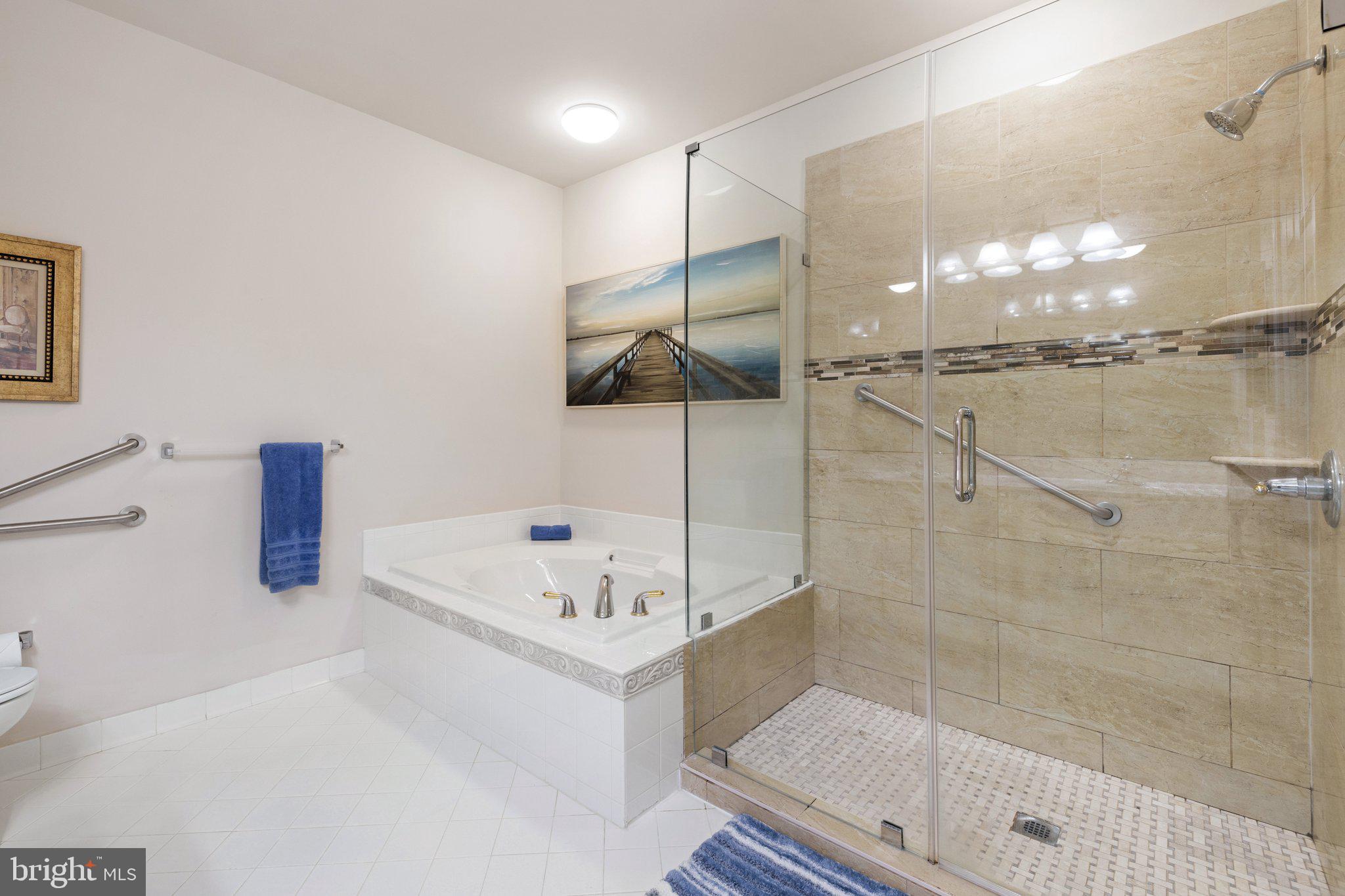 REGENCY AT DOMINION VALLEY - Residential