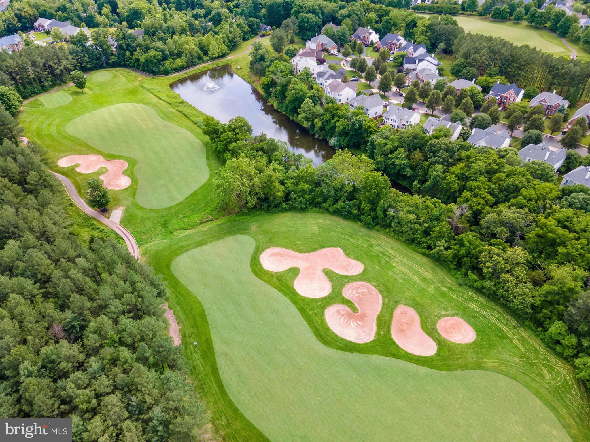 REGENCY AT DOMINION VALLEY - Residential