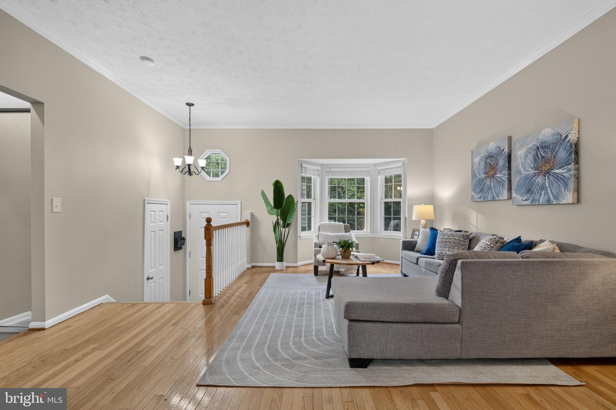 3609 BUCKEYE COURT