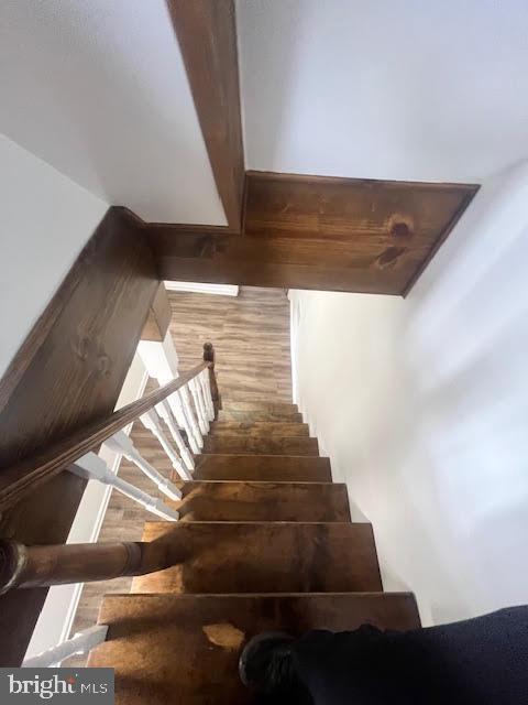 FRANKFORD - Residential Lease