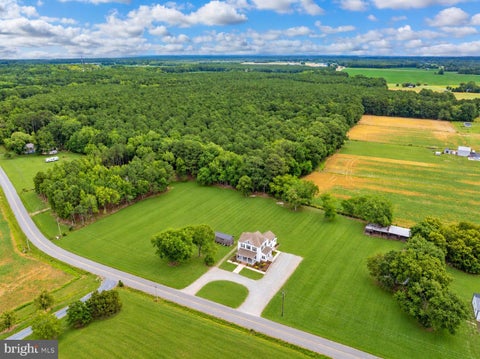 Slider Thumb