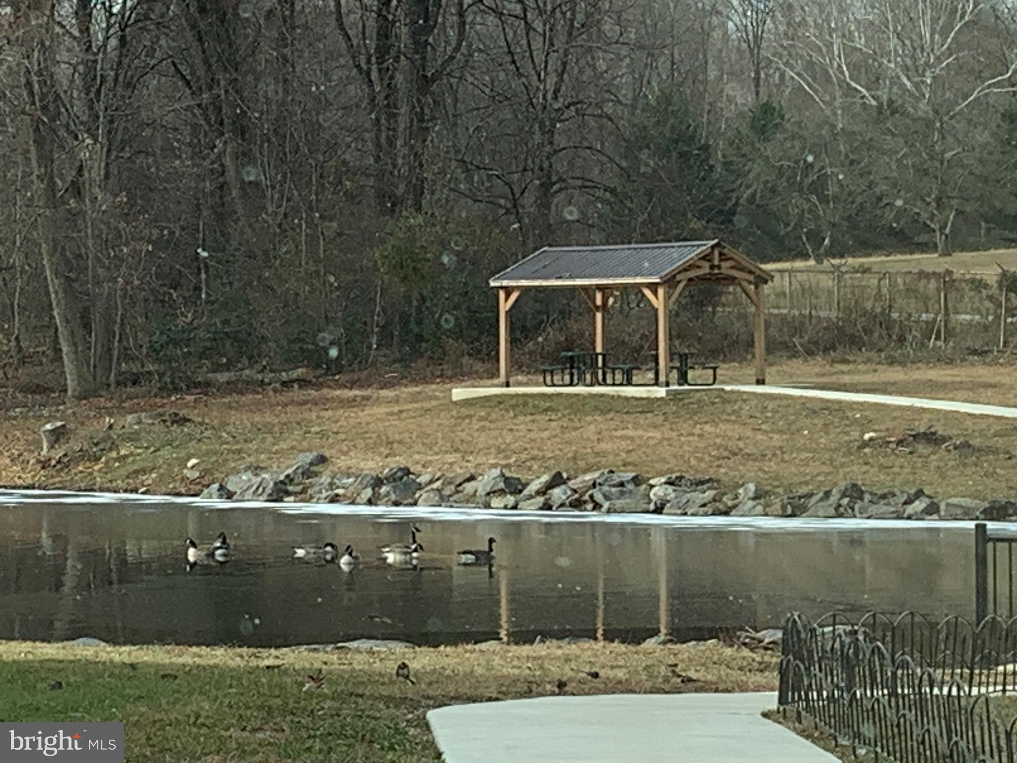 VILLAGE GREEN - Residential