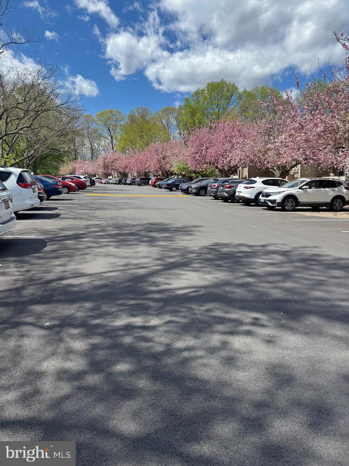 SPRINGLAKE - Residential Lease