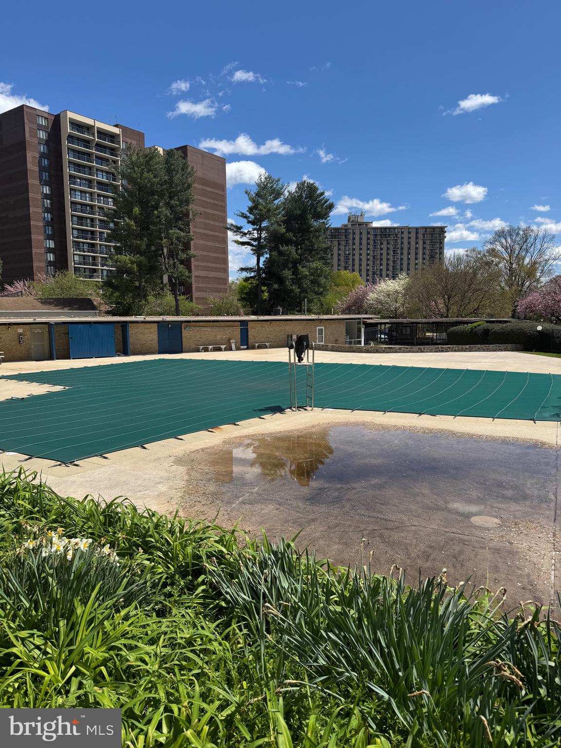 SPRINGLAKE - Residential Lease