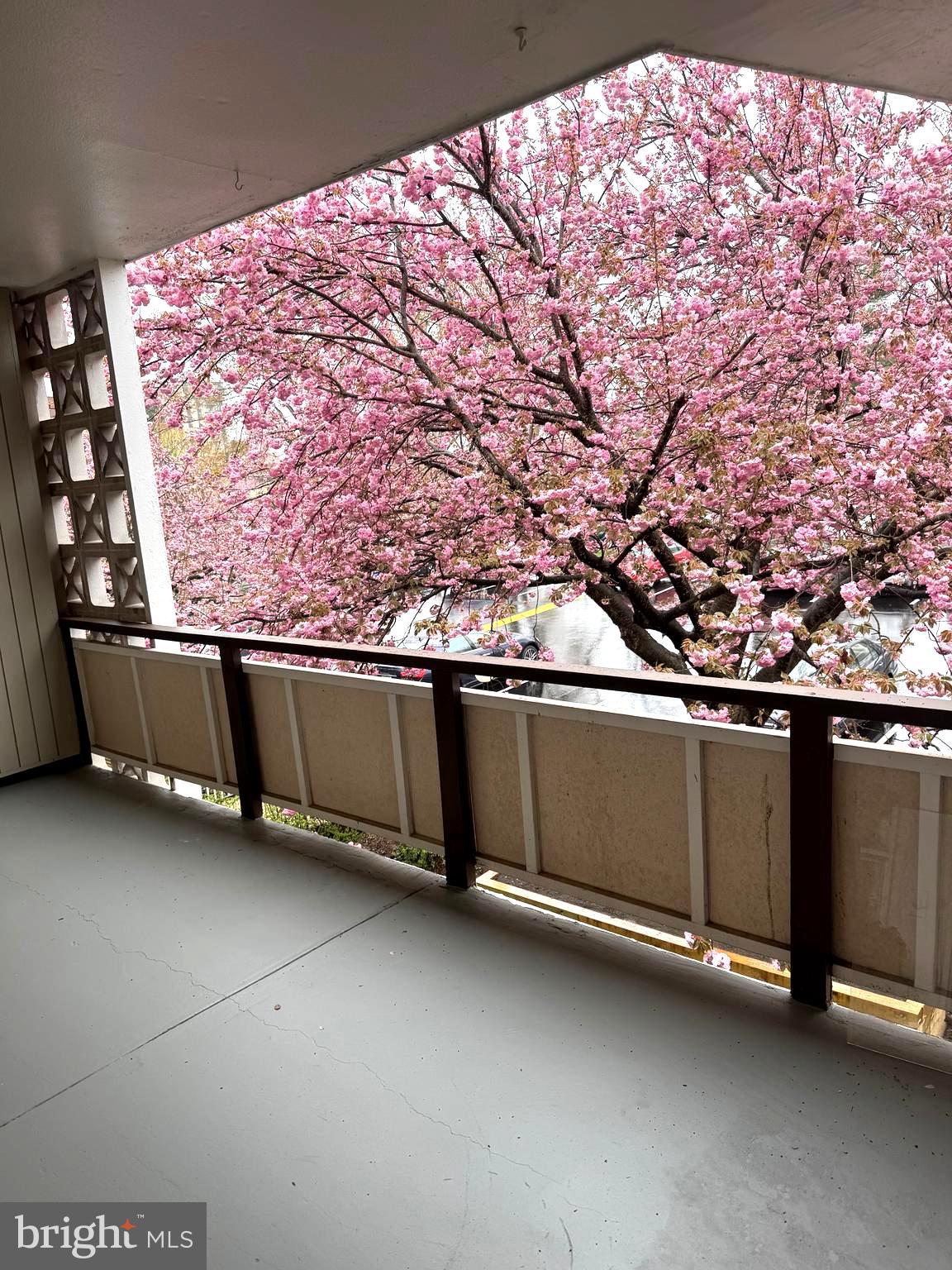 SPRINGLAKE - Residential Lease