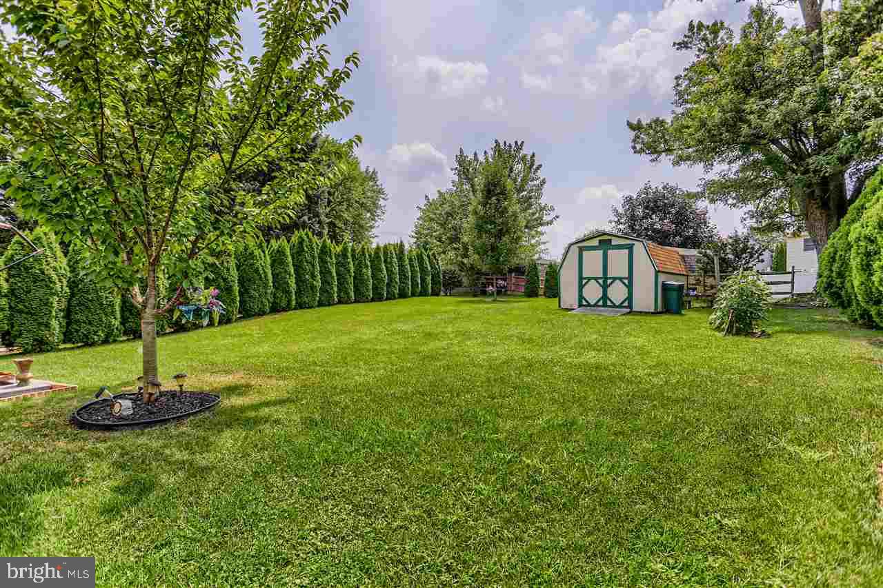 PINEWOOD - Residential