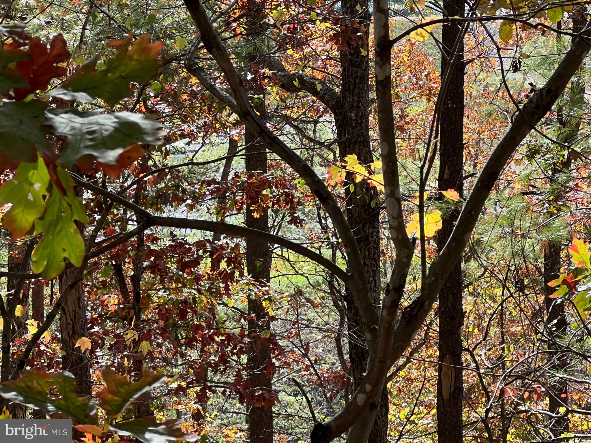 BRYCE  MOUNTAIN  RESORT - Land