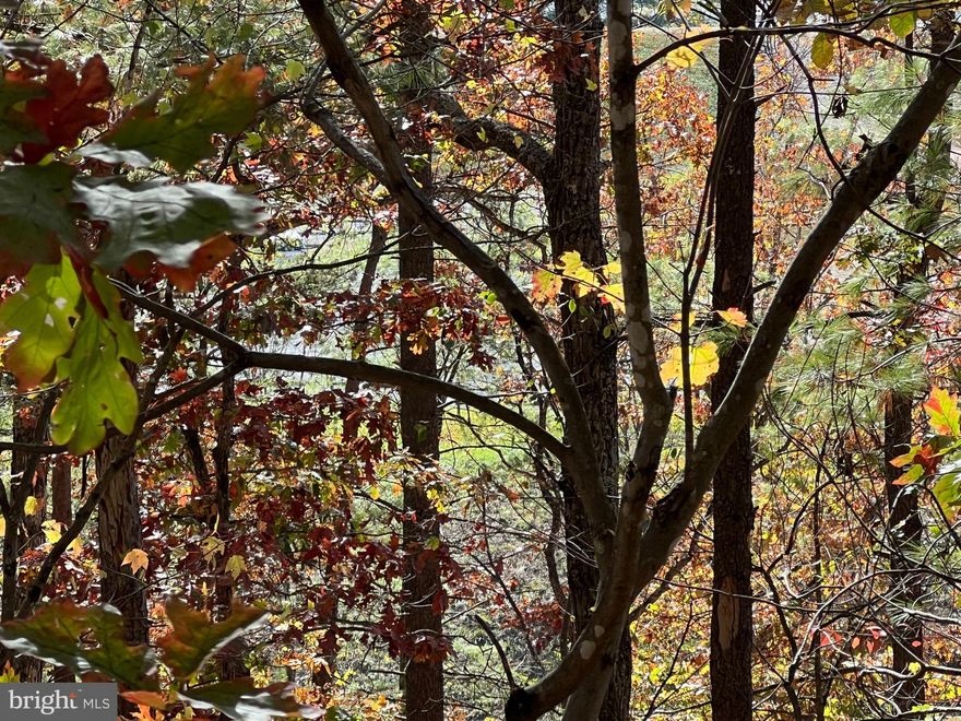 This is one of the few remaining, undeveloped lots that has a view of the lake and the mountains. At the bottom, the property adjoins Bryce Resort and is situated at the North end of Lake Laura. The slope is gentle and eminently buildable. Lot is .314 acres. No extra charge for beautiful sunsets!