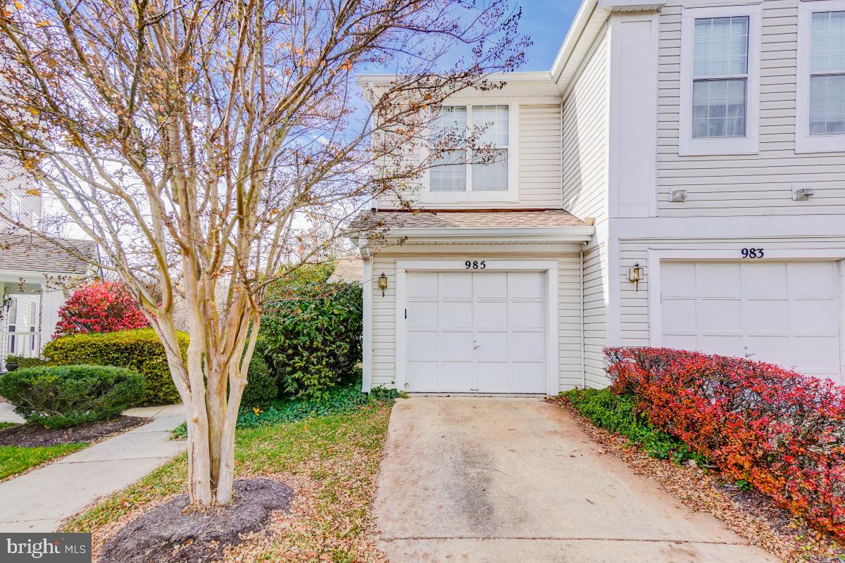 VISTAS AT WASHINGTONIAN WOODS - Residential