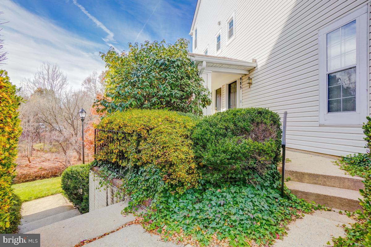 VISTAS AT WASHINGTONIAN WOODS - Residential