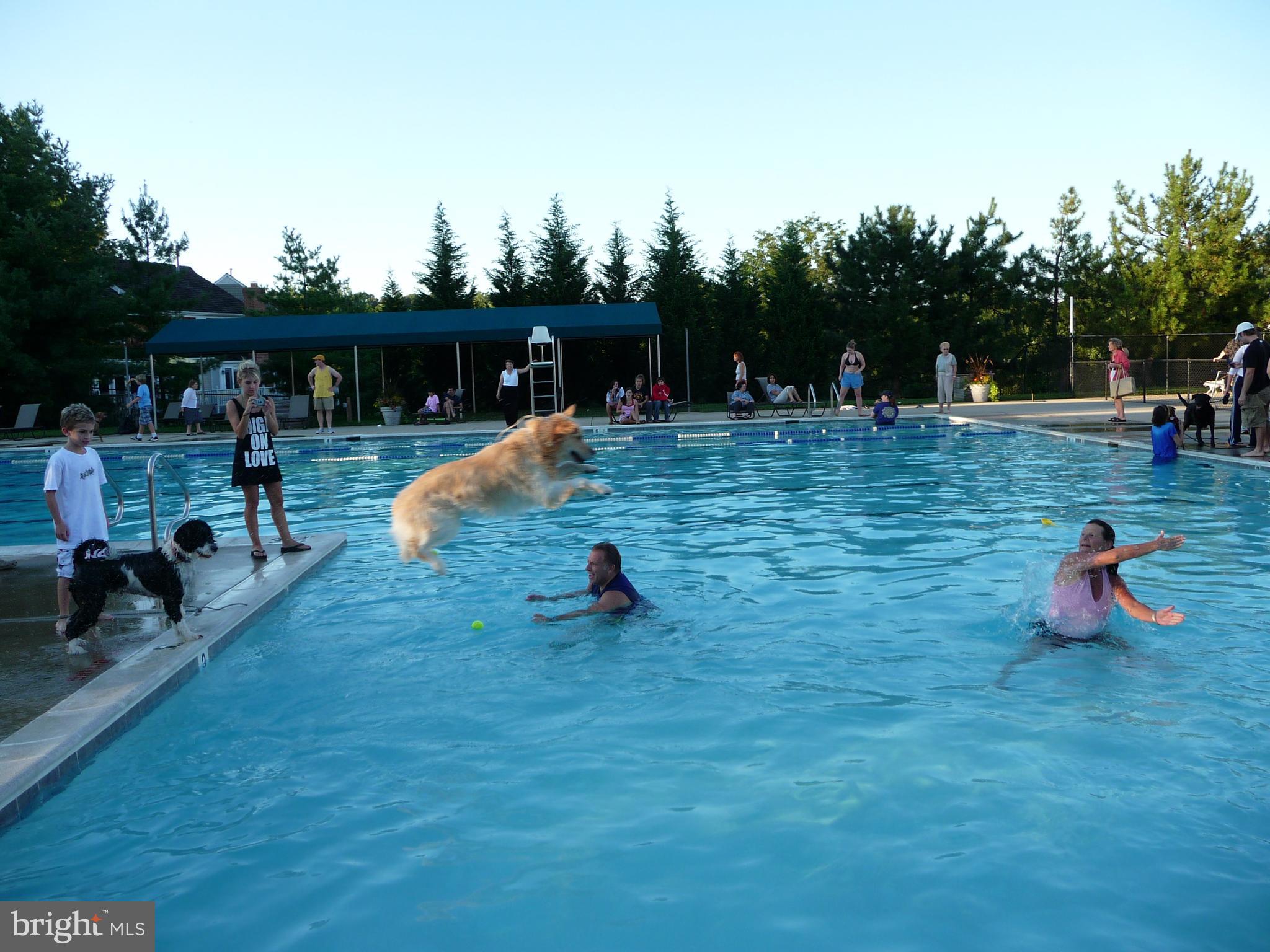 VISTAS AT WASHINGTONIAN WOODS - Residential