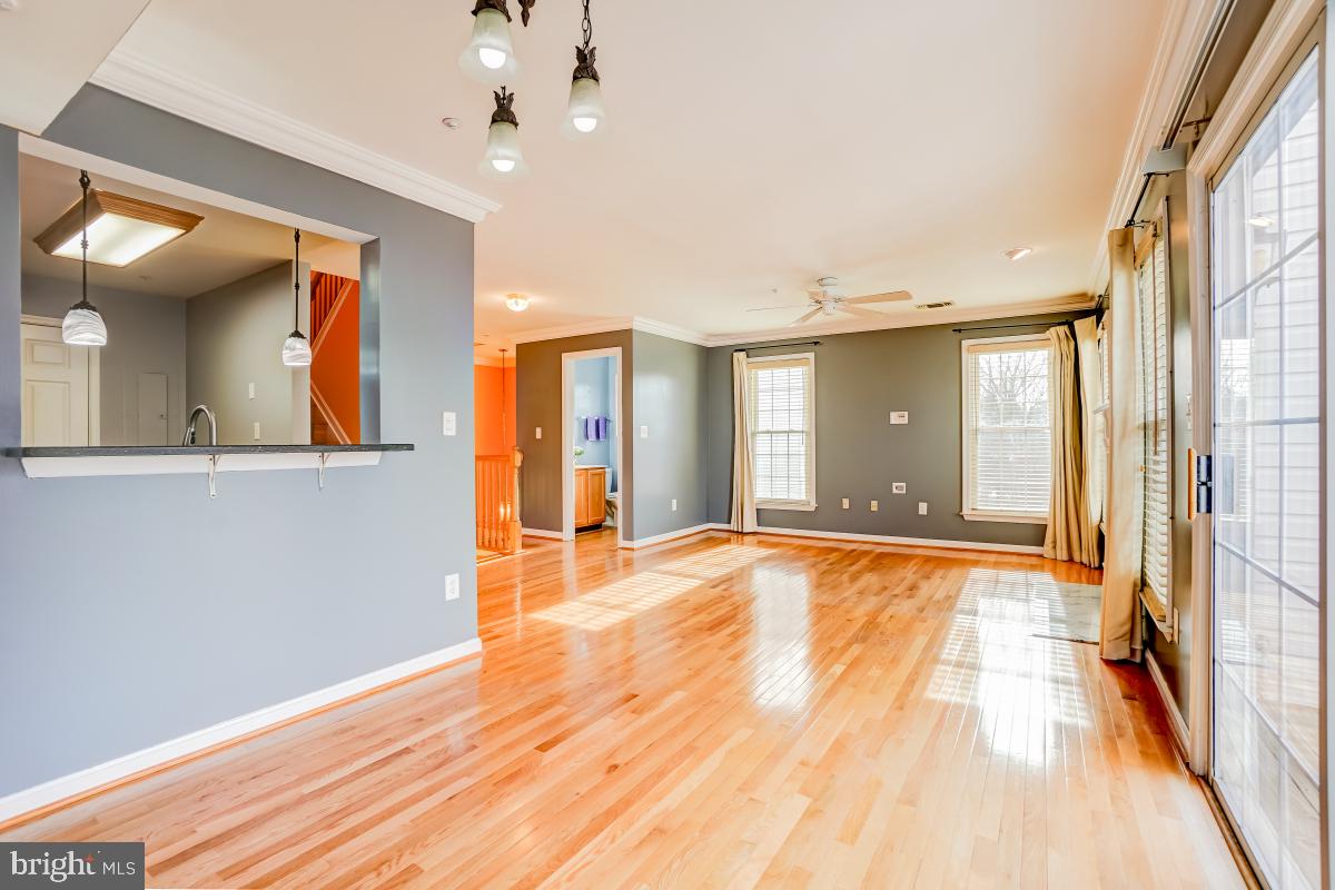 VISTAS AT WASHINGTONIAN WOODS - Residential