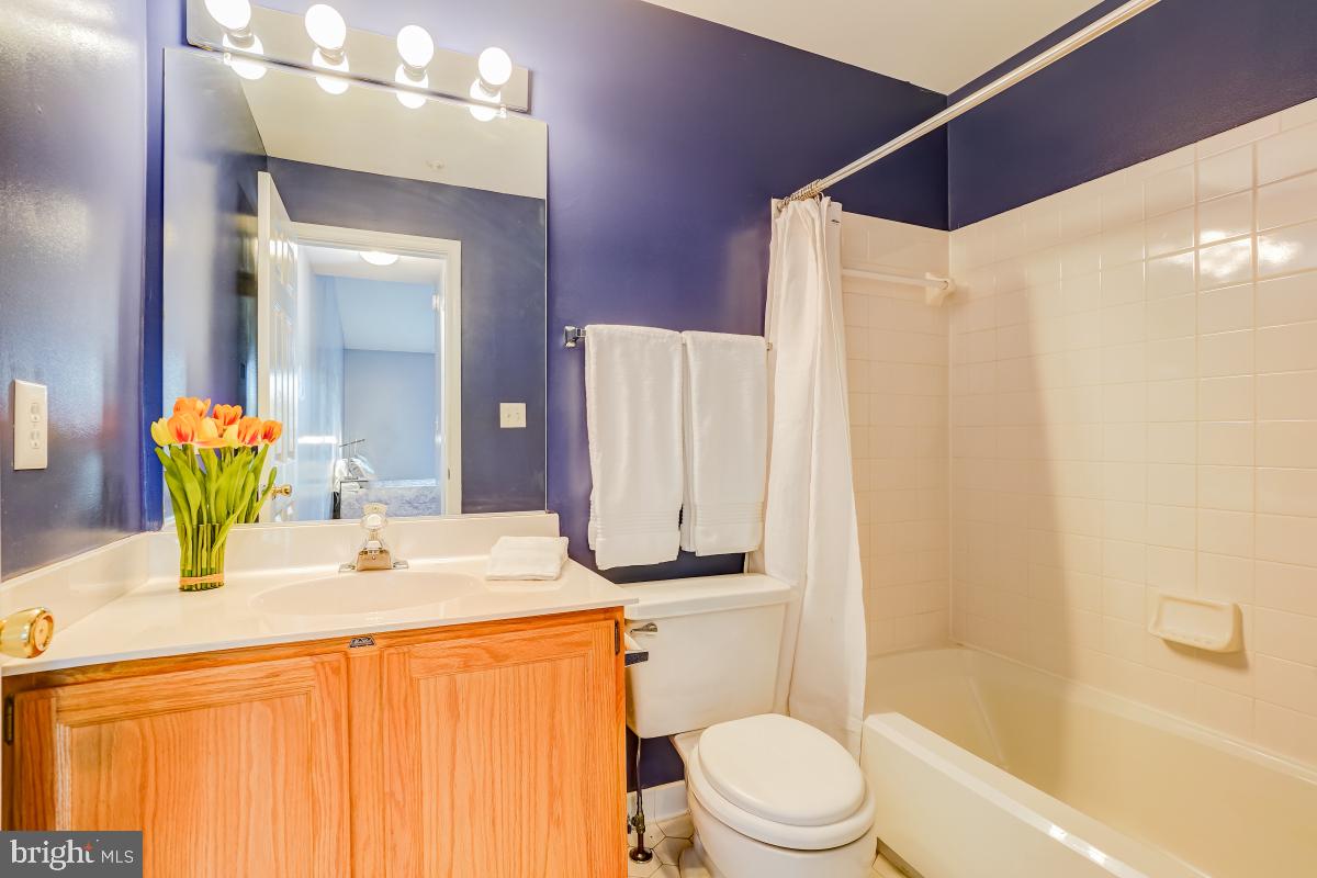 VISTAS AT WASHINGTONIAN WOODS - Residential