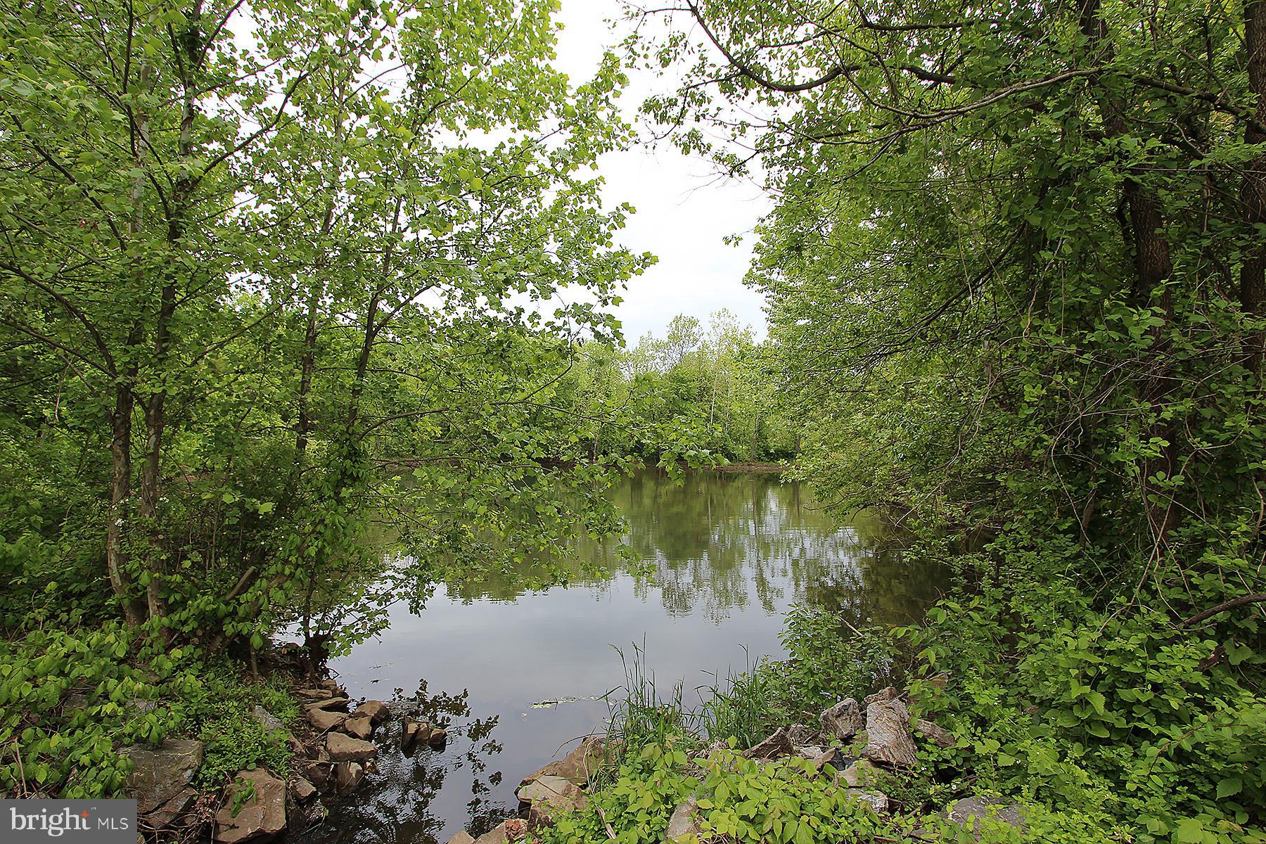 VISTAS AT WASHINGTONIAN WOODS - Residential