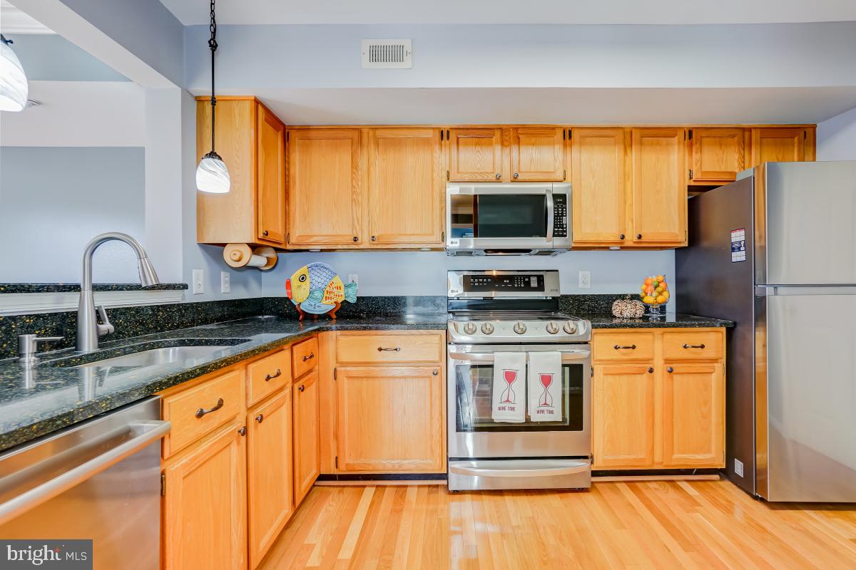 VISTAS AT WASHINGTONIAN WOODS - Residential