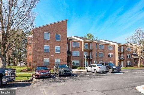 200 CHAPEL COURT 319 WALKERSVILLE MD 21793