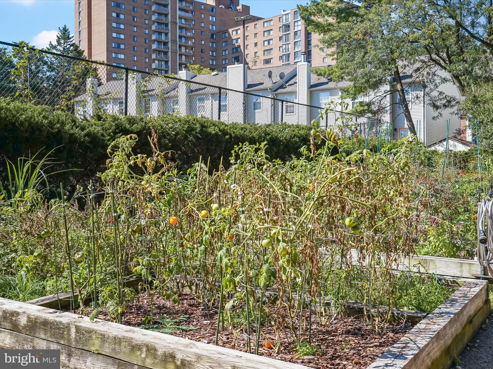 GREENHOUSE - Residential