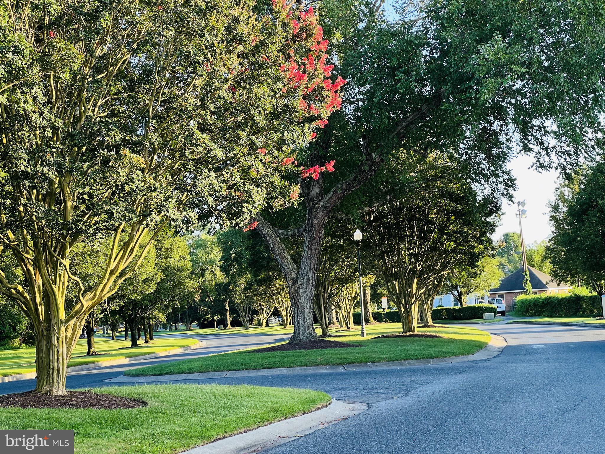 NUTTERS CROSSING - Residential