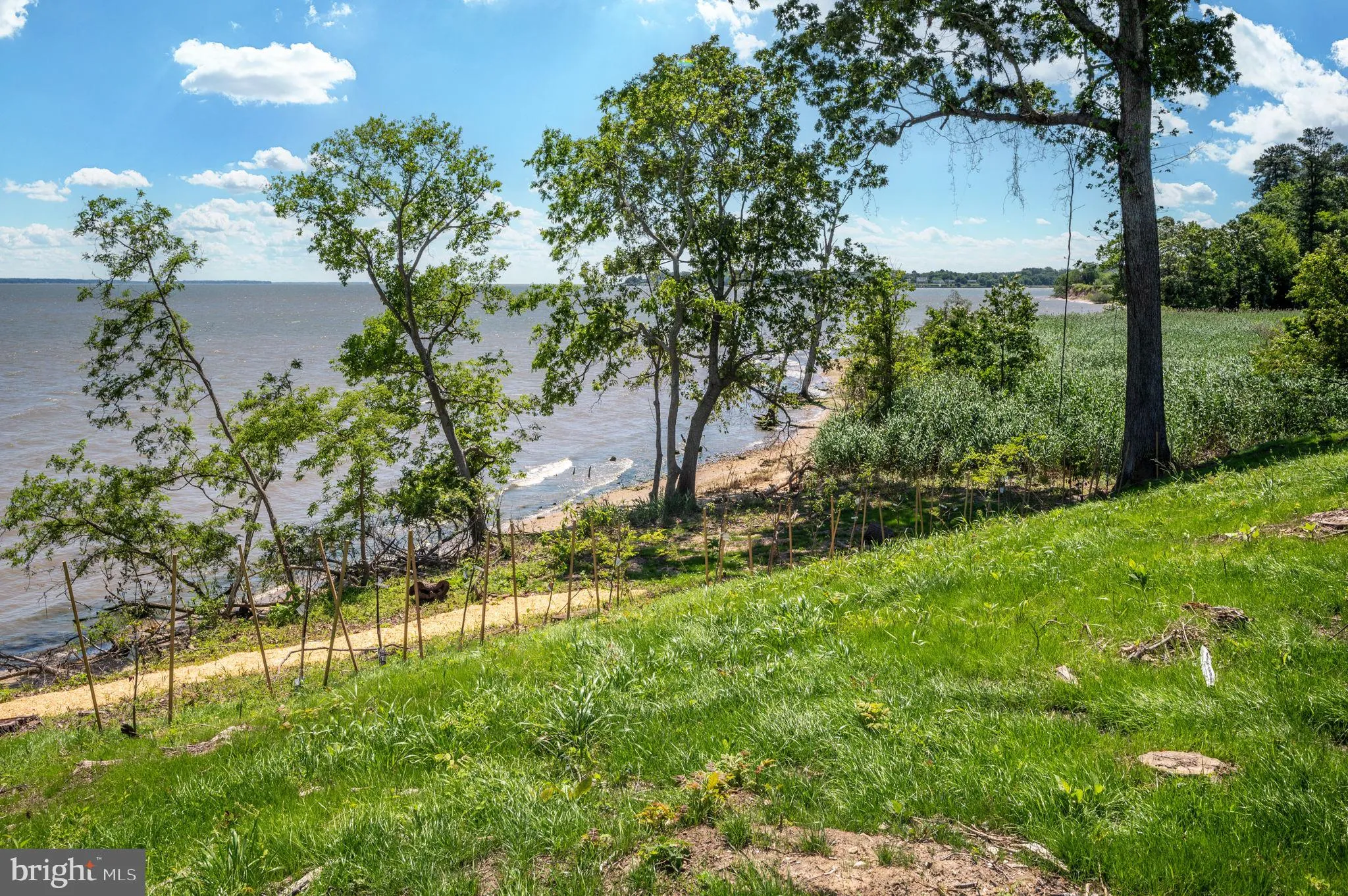 King George, Virginia 22485, United States, 6 Bedrooms Bedrooms, ,3 BathroomsBathrooms,Residential,Coming Soon,122531