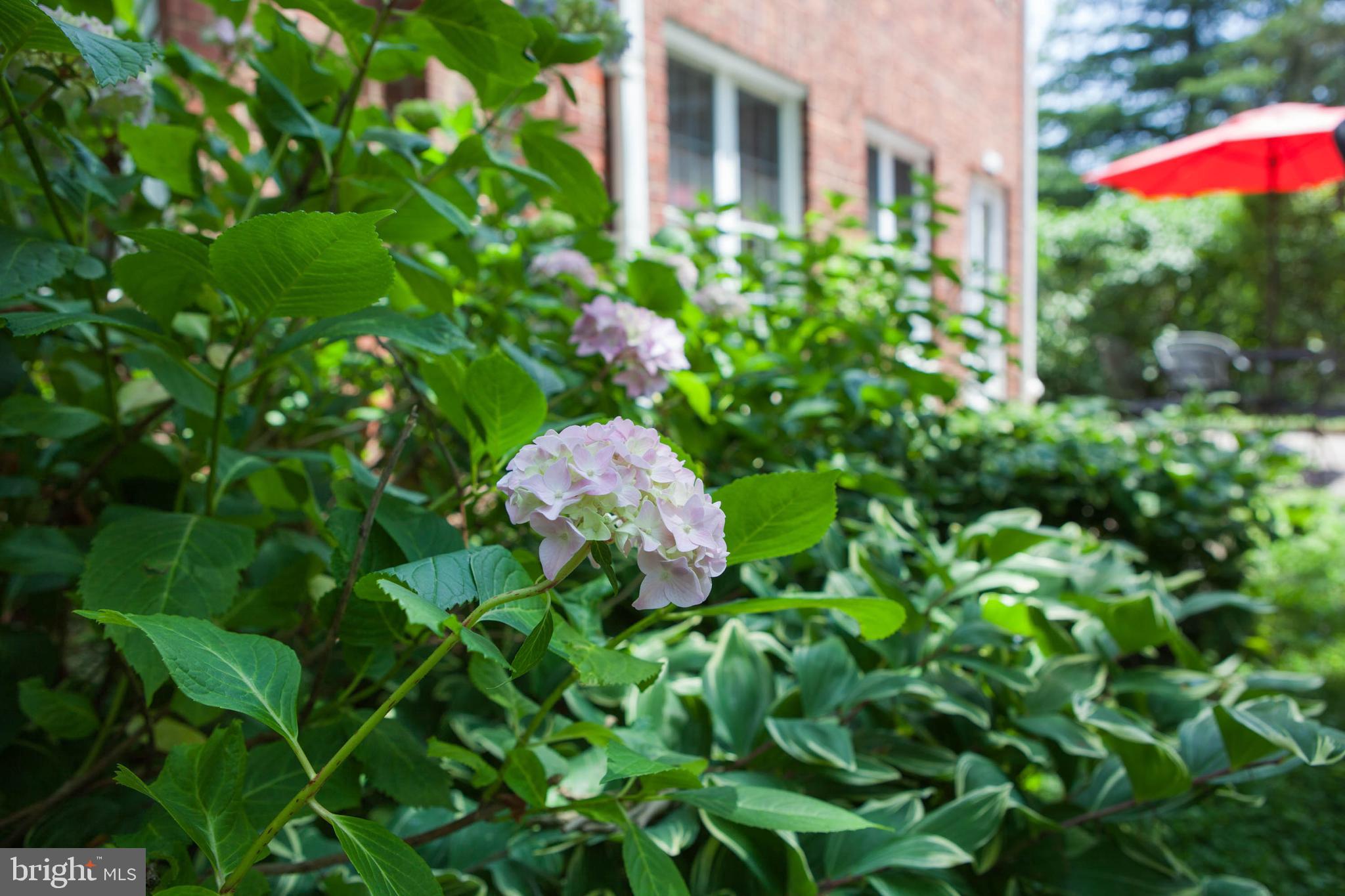 PARKFAIRFAX - Residential