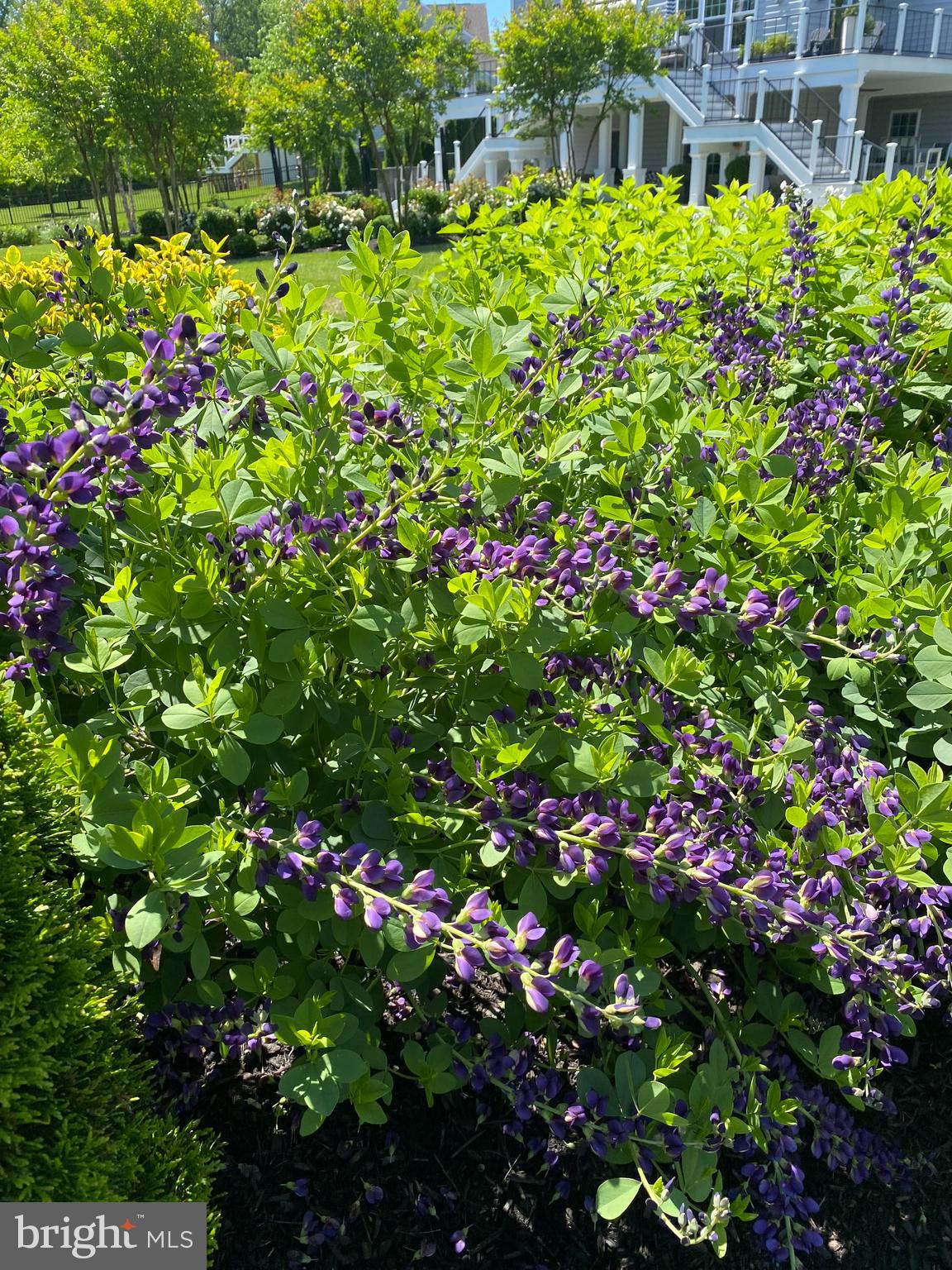 HUNTLEIGH AT CREIGHTON FARMS - Residential
