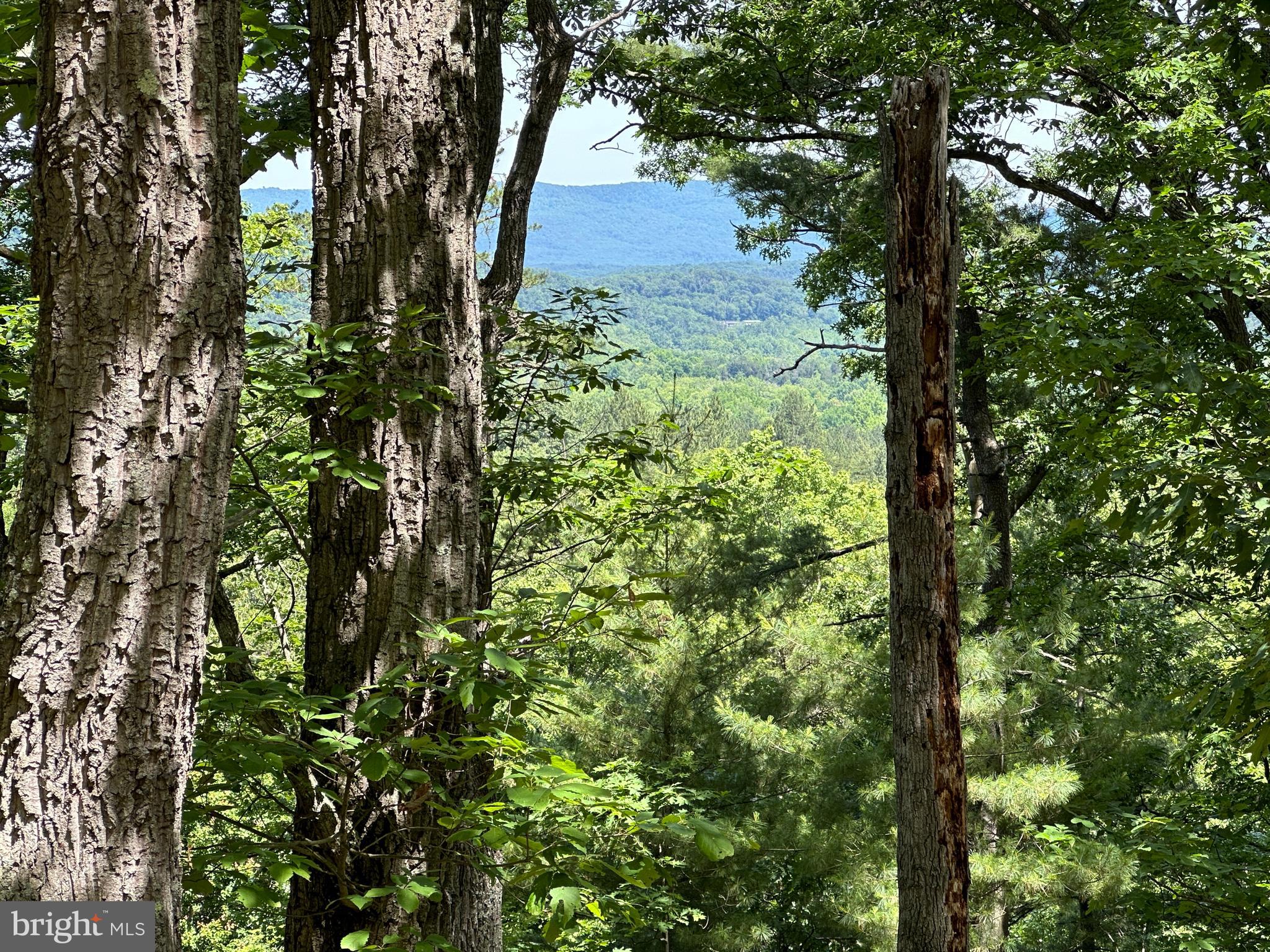 SOUTH POTOMAC VALLEY - Land
