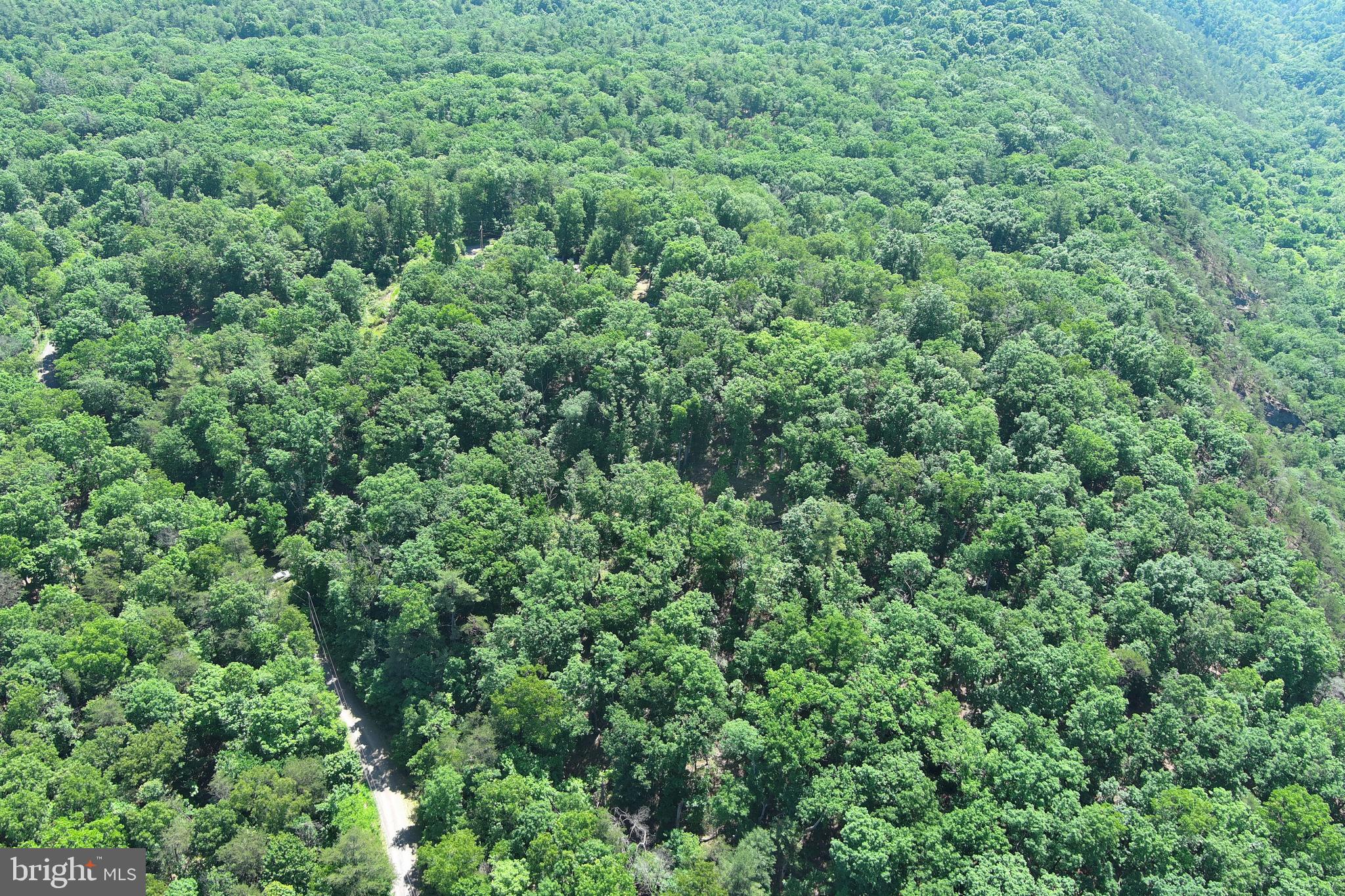 SOUTH POTOMAC VALLEY - Land