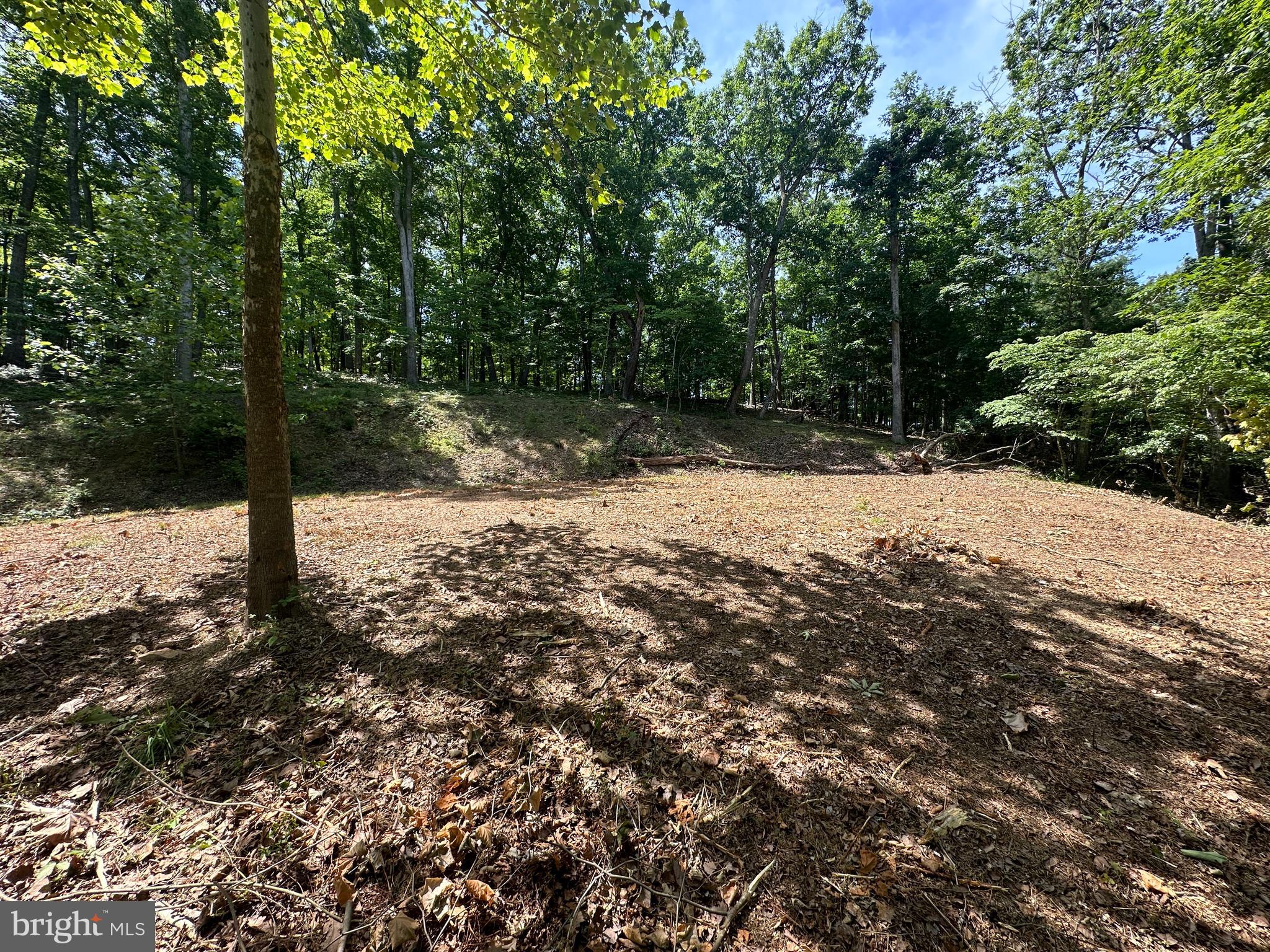 SOUTH POTOMAC VALLEY - Land