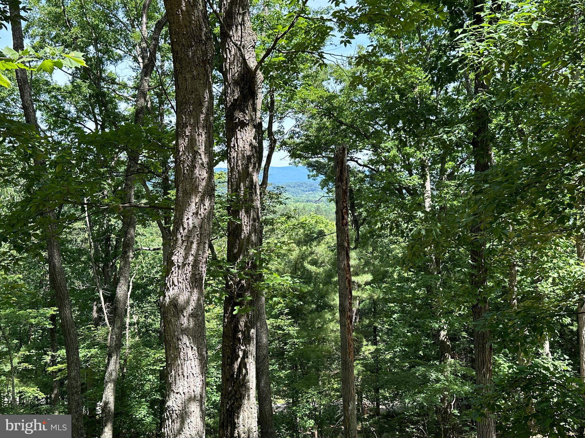 SOUTH POTOMAC VALLEY - Land