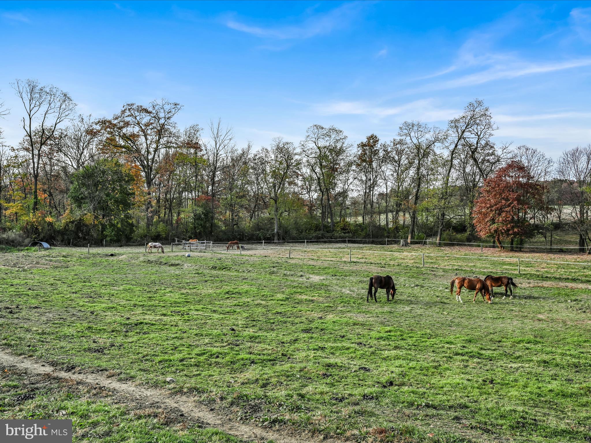 NONE AVAILABLE - Farm