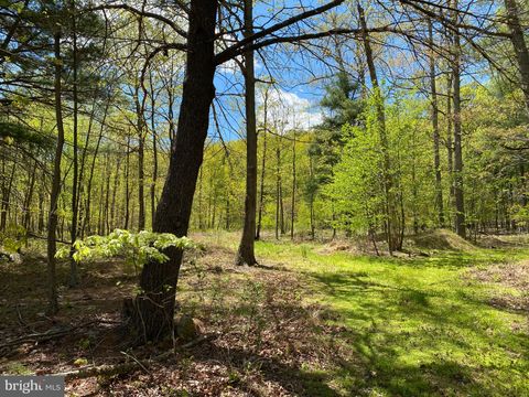 Vacant Land For Sale - 84 Alex Lane<br/> BERKELEY SPRINGS, WV 25411