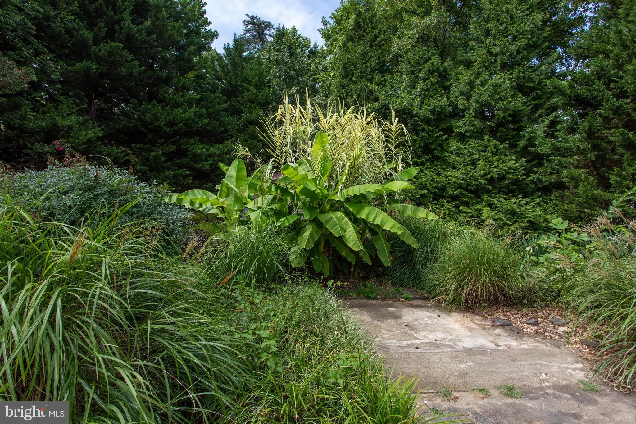 Mechanicsville, Maryland 20659, United States, 6 Bedrooms Bedrooms, ,3 BathroomsBathrooms,Residential,Coming Soon,173340